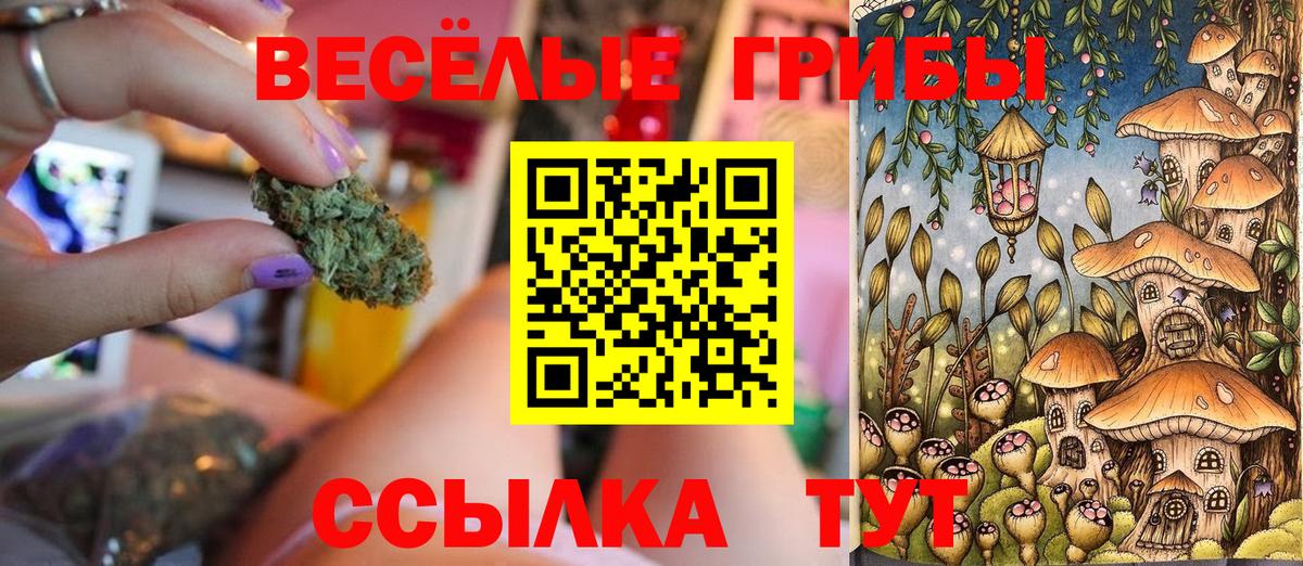 Псилоцибиновые грибы GOLDEN TEACHER  Вход с VPN  Кирово-Чепецк 