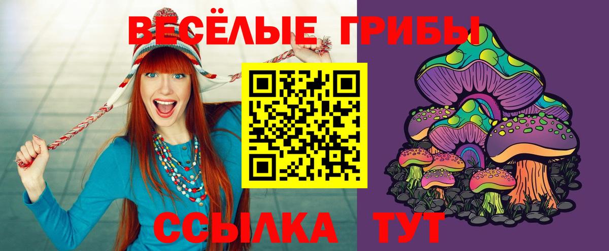 Псилоцибиновые грибы прущие грибы  где найти наркотики  Кирово-Чепецк 