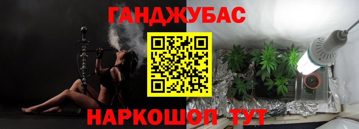 Конопля сатива  Конопля планчик  Кирово-Чепецк  Канабис Ganja 